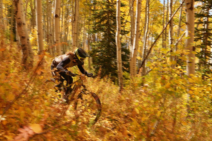Rider in a full-face helmet on a mountain bike through golden autumn aspens, foliage blurred in foreground