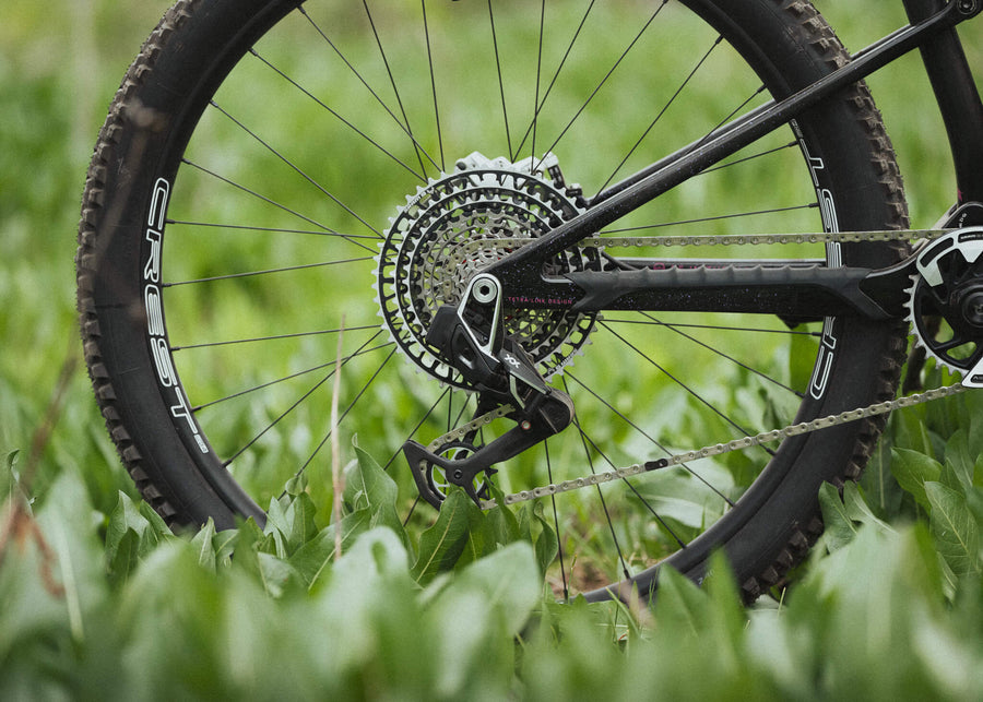 Close-up of a mountain bike rear wheel, cassette and derailleur in tall green grass