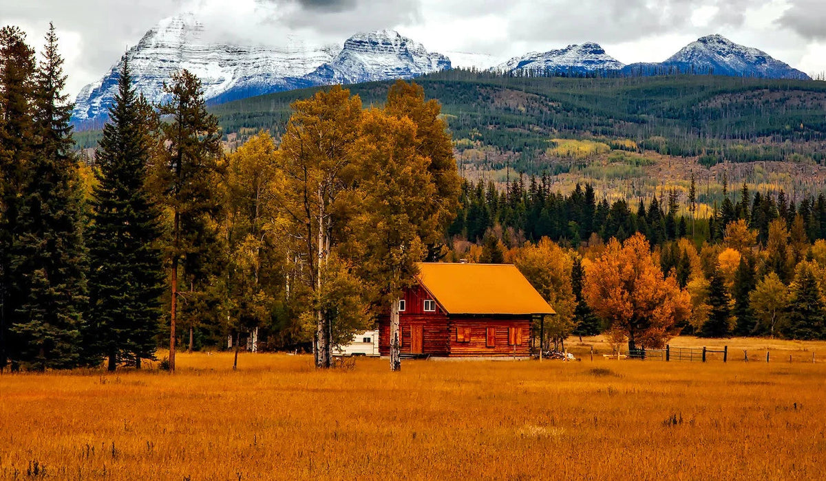 Red cabin in an autumn meadow with golden aspens and pines below snow-capped Rocky Mountain peaks