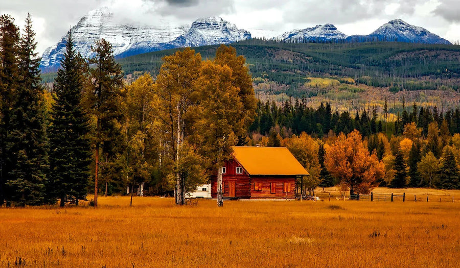 Red cabin in an autumn meadow with golden aspens and pines below snow-capped Rocky Mountain peaks