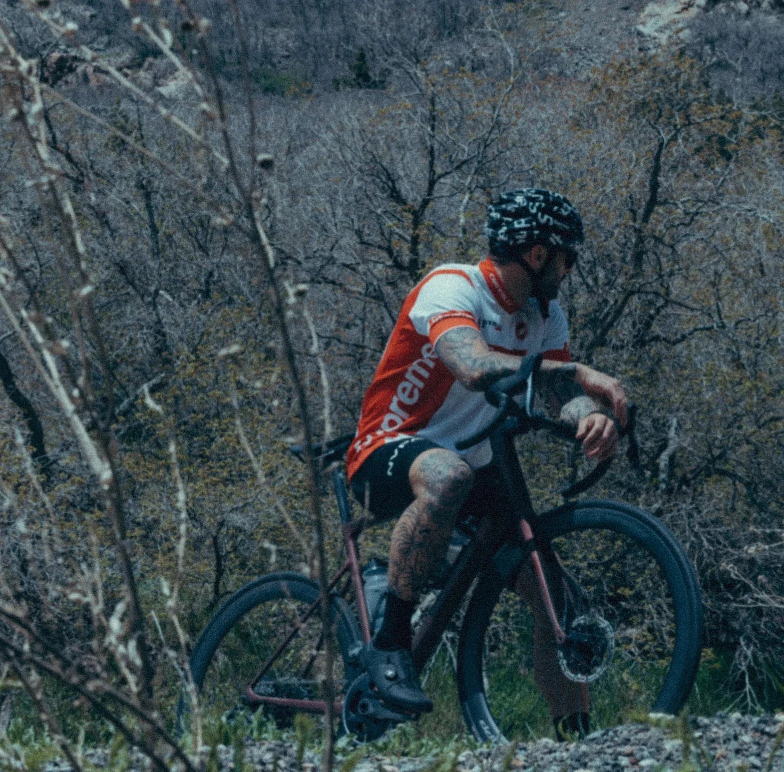 Exploring the Best Road Bike Rides in Southern California – Ari Bikes