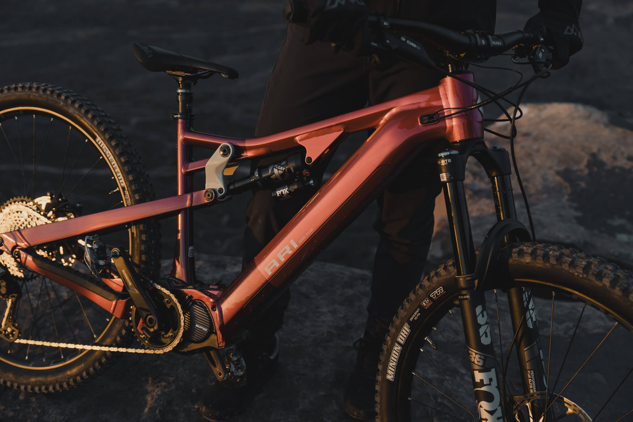 Pre-Order – Ari Bikes