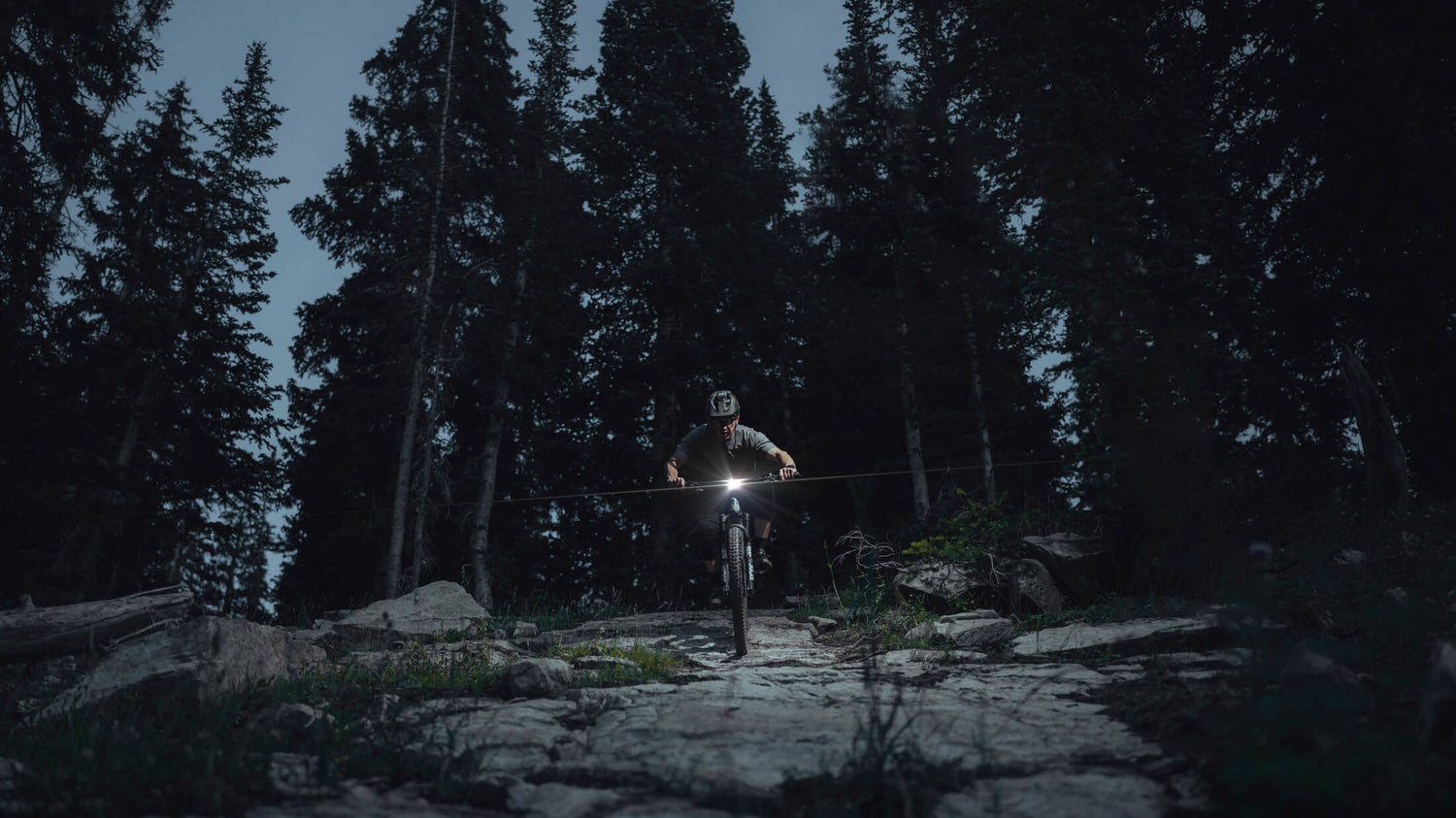 Lights
