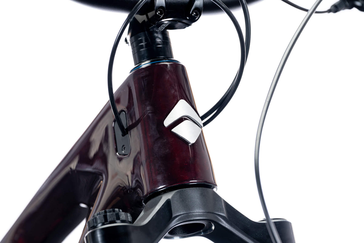 Editor’s Choice: Mountain Bike
