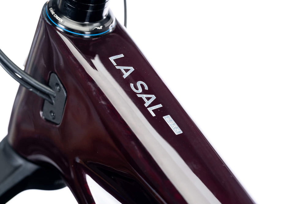 La Sal Peak decal on the top tube of a dark red frame, close-up