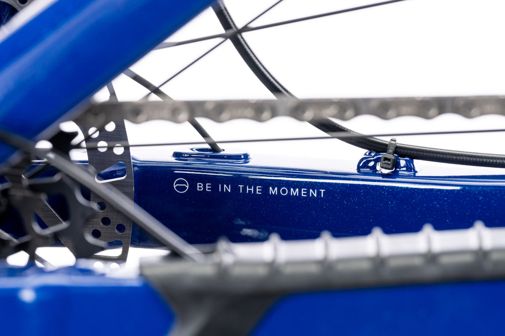 Blue Wire Peak chainstay with Be in the Moment text, disc brake rotor and chain