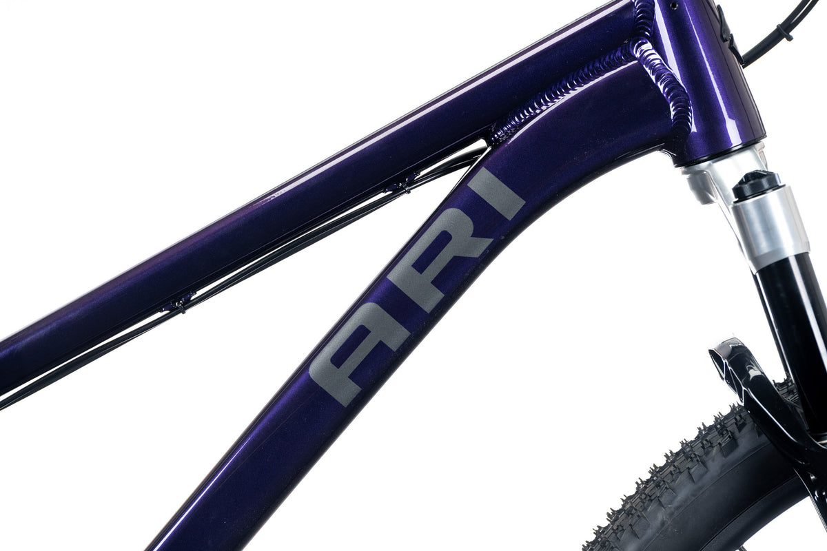 Dark purple 801 top tube with a gray Ari decal and fork crown