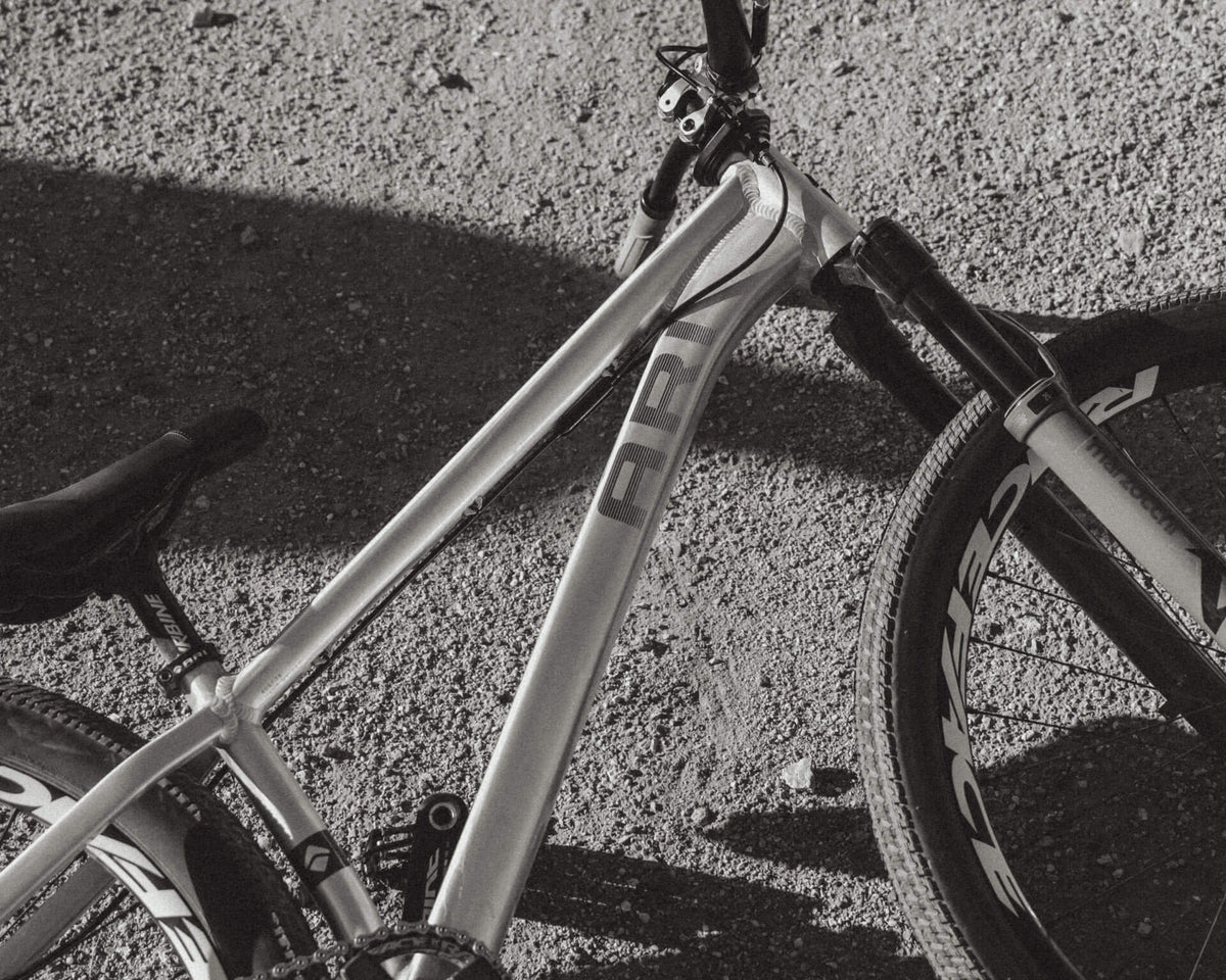 Black and white close-up of a silver 801 frame with the Ari decal on gravel