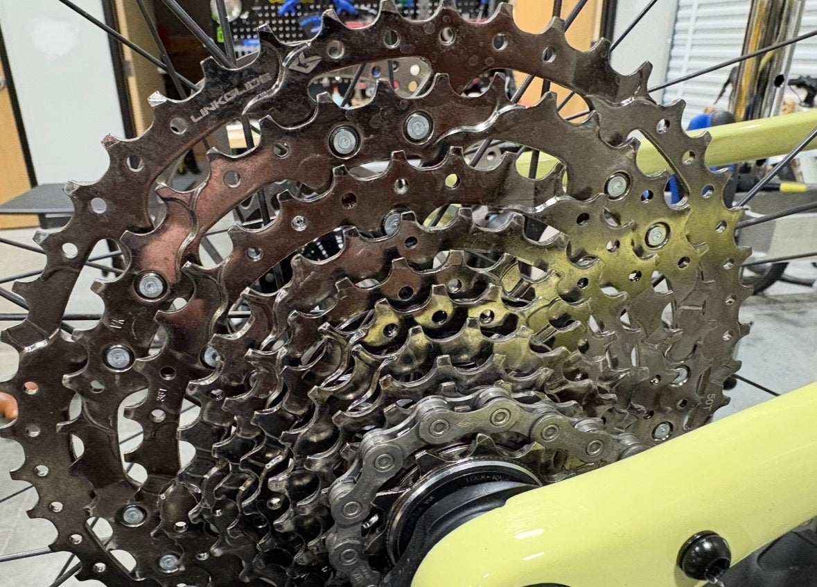 Explorer Comp Desert Tan Gray (Large) Outlet o1213