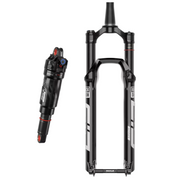 Signal Peak Frameset Suspension