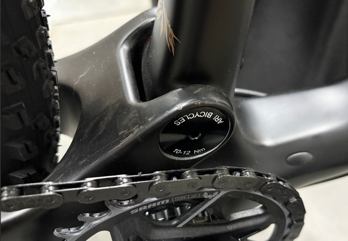 Signal Peak 3.0 Pro (Medium) Raw Carbon Podium Gold Outlet o1279