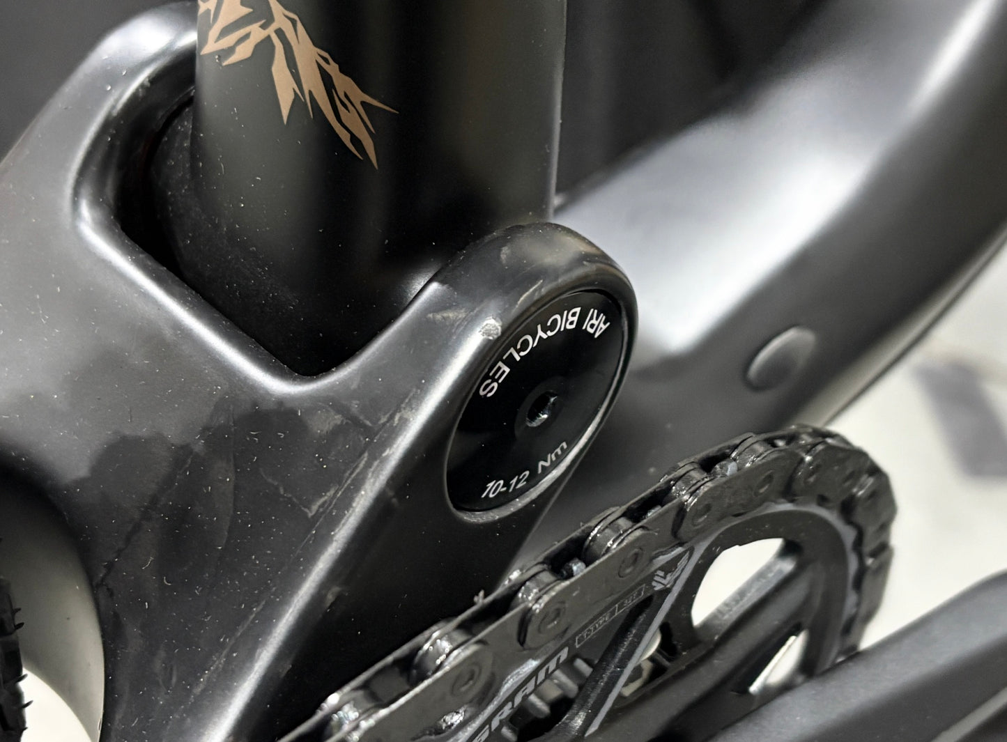 Signal Peak 3.0 Pro (Medium) Raw Carbon Podium Gold Outlet o1279