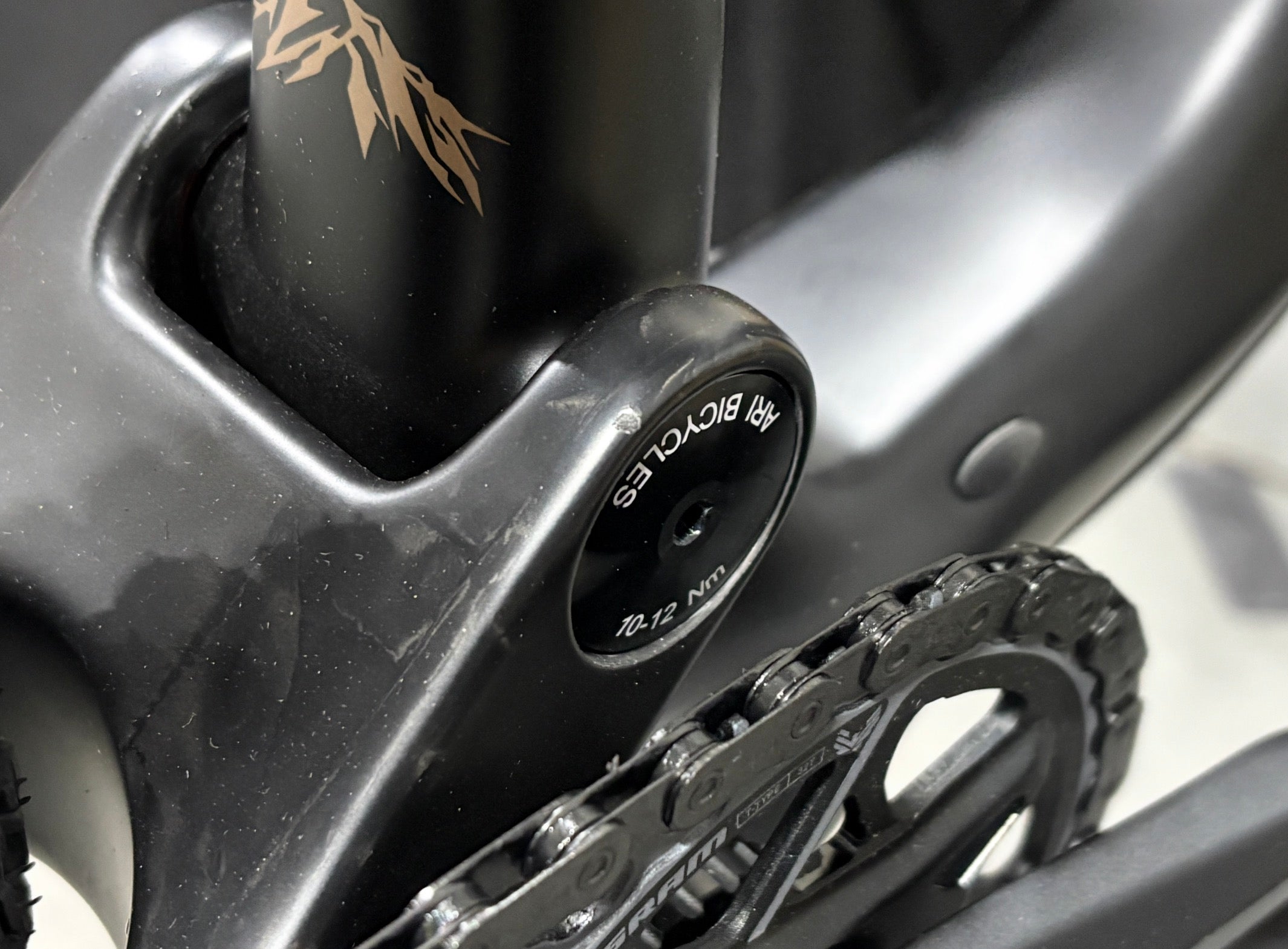 Signal Peak 3.0 Pro (Medium) Raw Carbon Podium Gold Outlet o1279