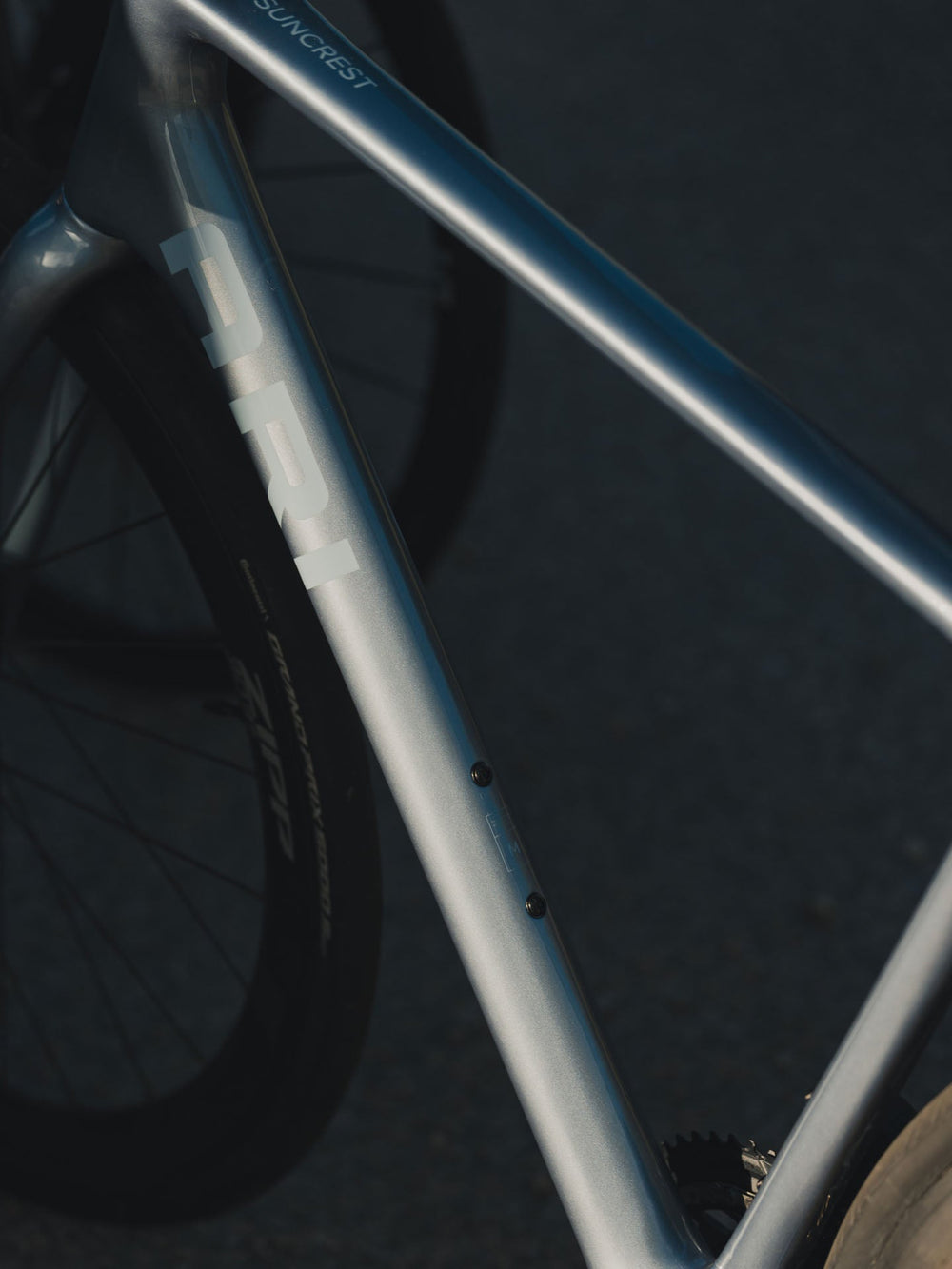 Silver Suncrest frame close-up showing the ARI down tube logo