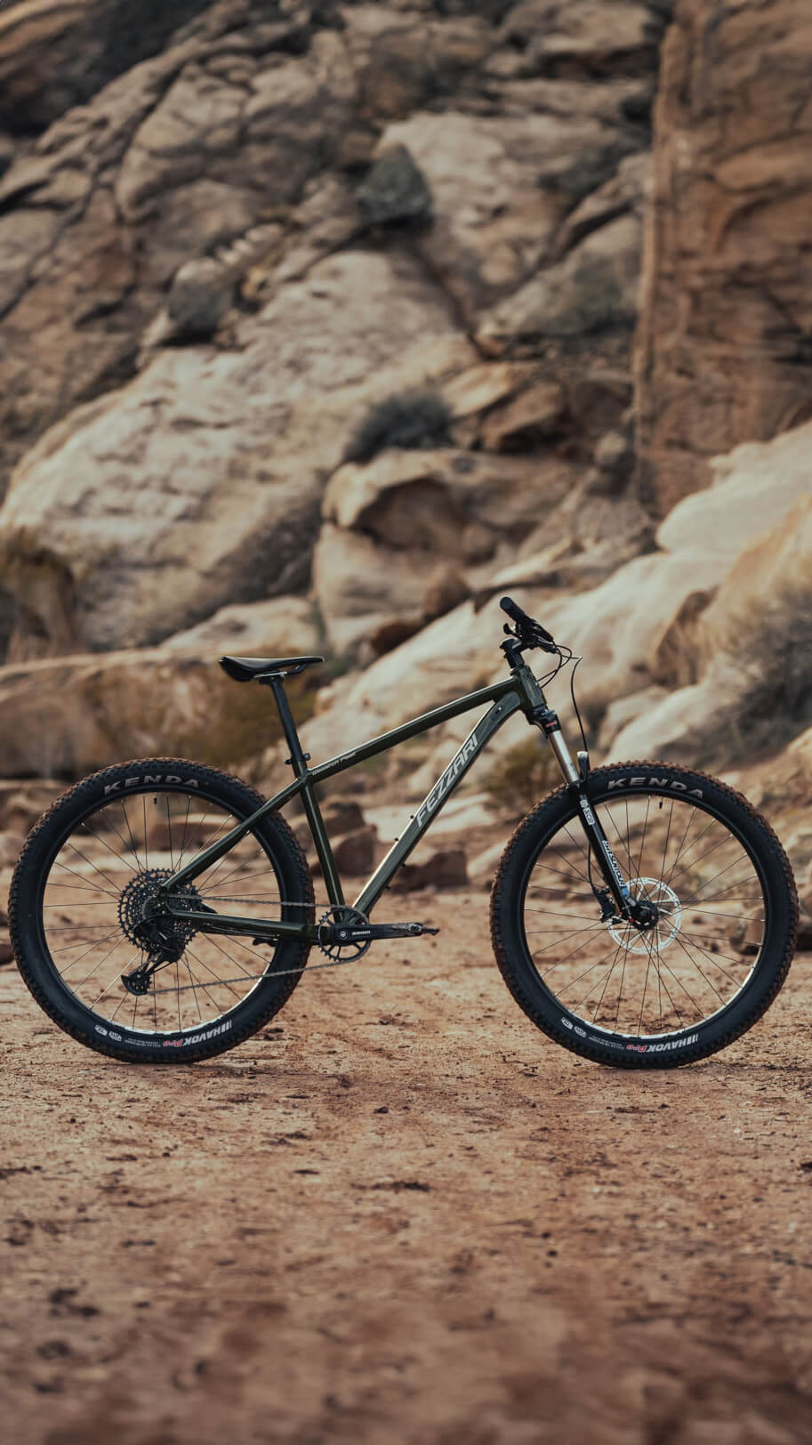 Wasatch Peak - Ari Bikes