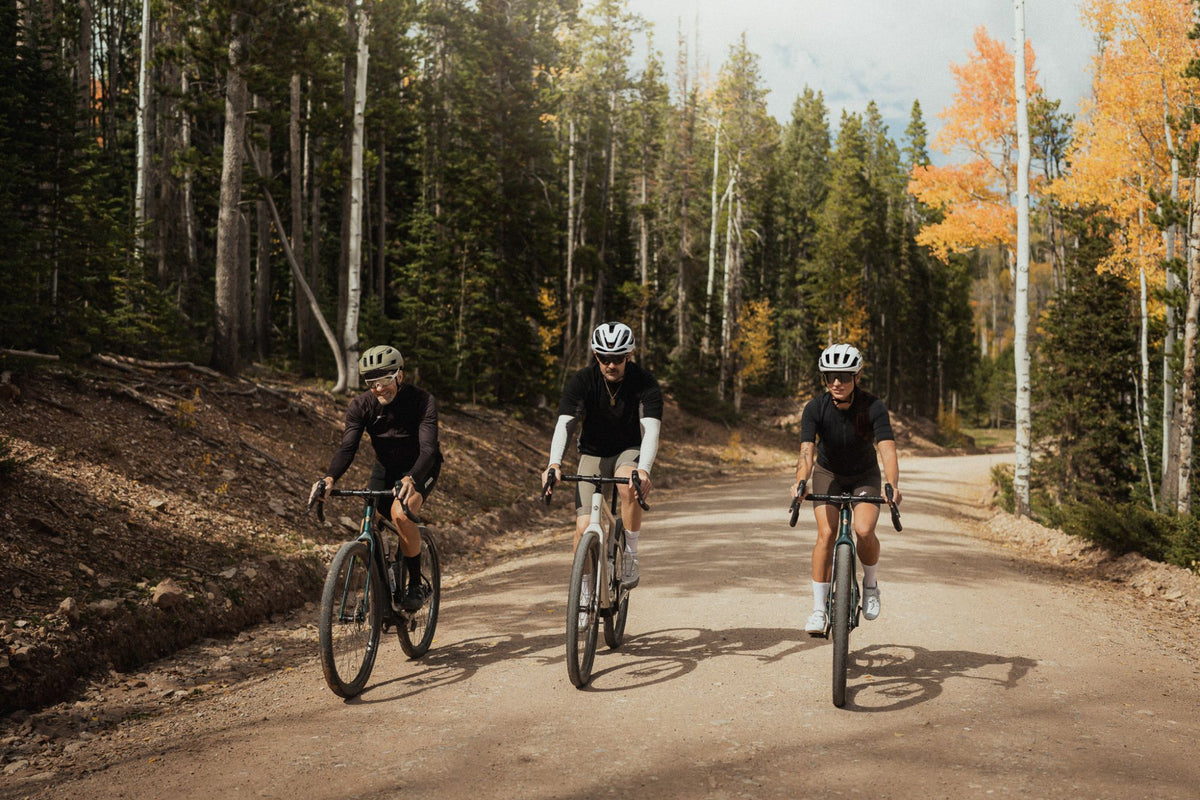 Three riders on Ari gravel bikes on a dirt road through pines and fall aspens
