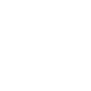Dual Slalom