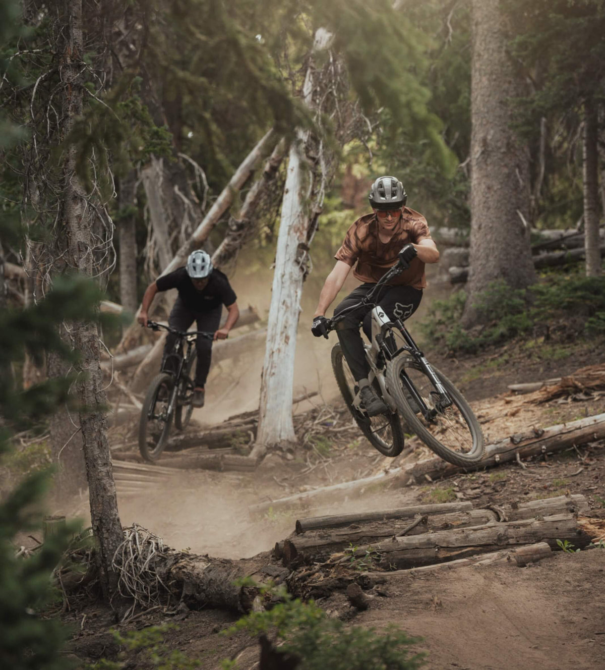 Two riders on mountain bikes kicking up dust on a forest trail through fallen trees