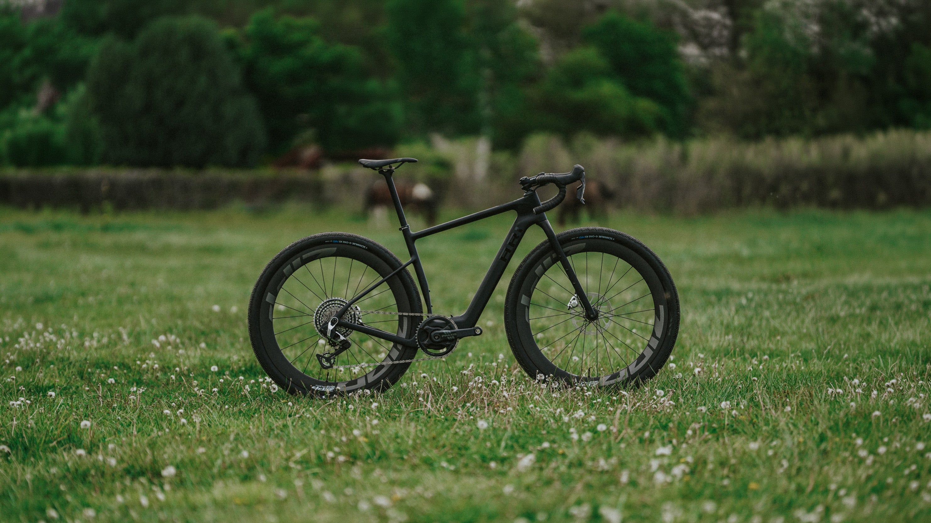 E-Gravel (Pre-Order)