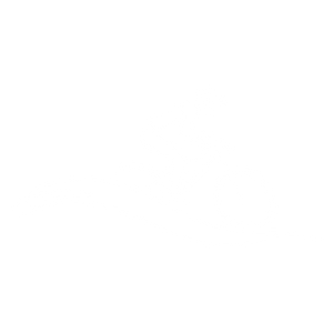 Pump Tracks