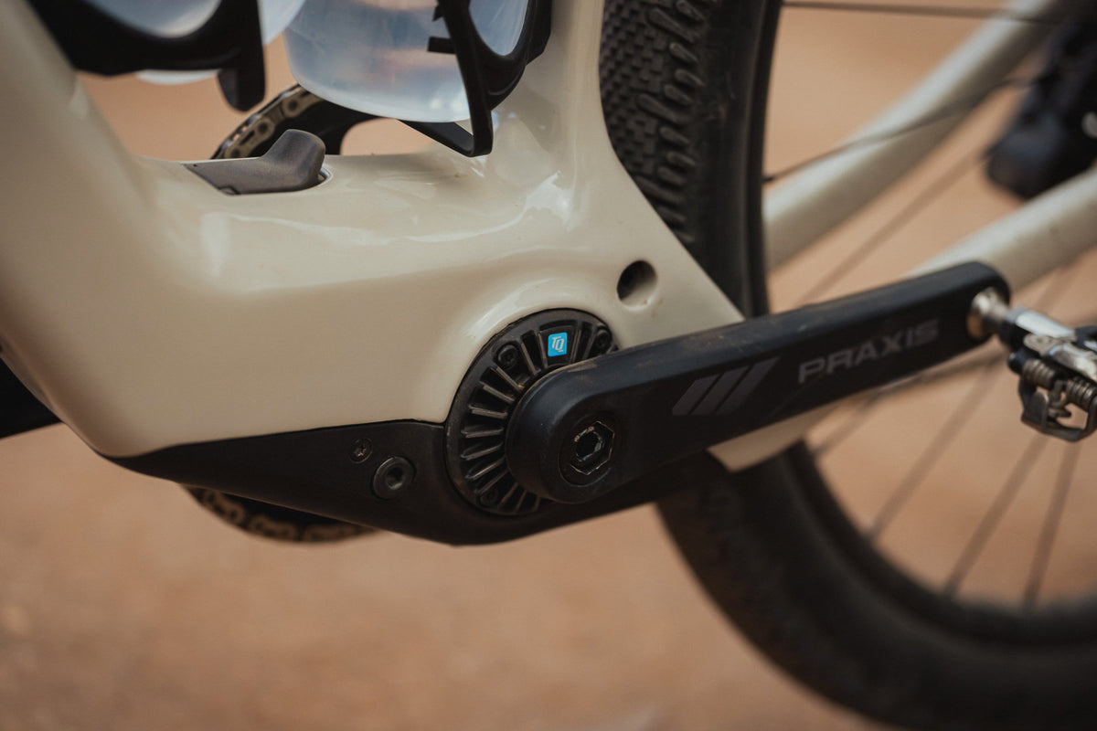 Shafer HP tq motor closeup