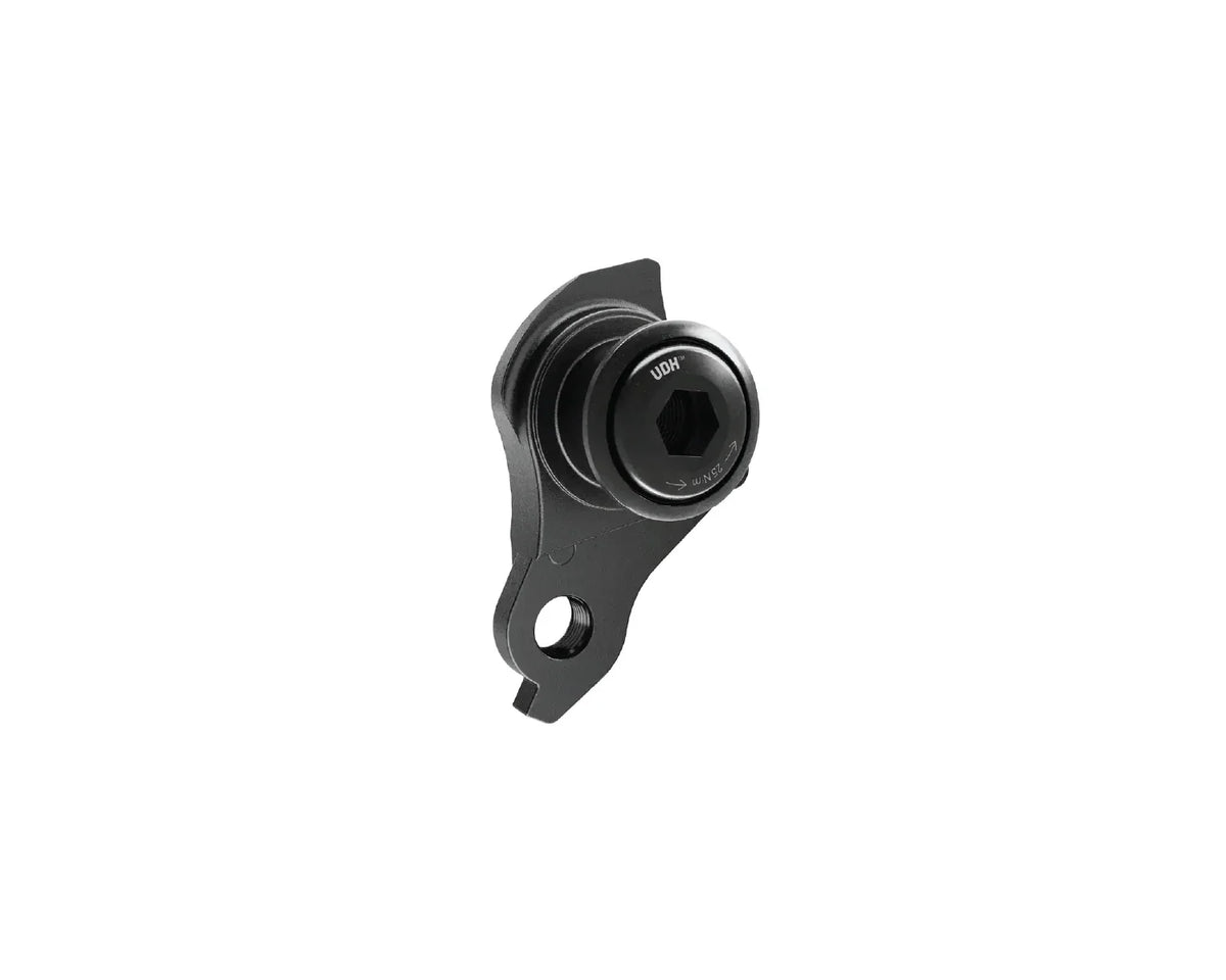 Black UDH derailleur hanger with a hex bolt