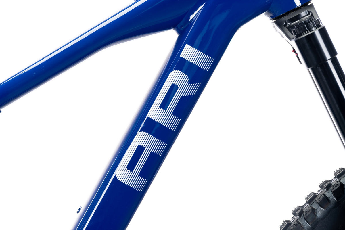 Ari logo on the blue Wire Peak down tube