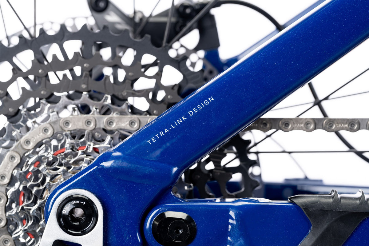 Tetra-Link Design chainstay on the blue Wire Peak