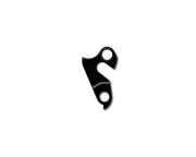 DERAILLEUR HANGER #8