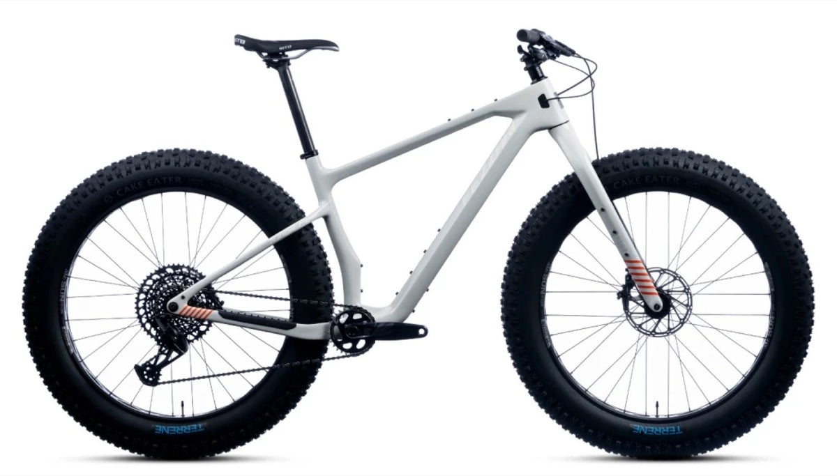 Best Fat Bike